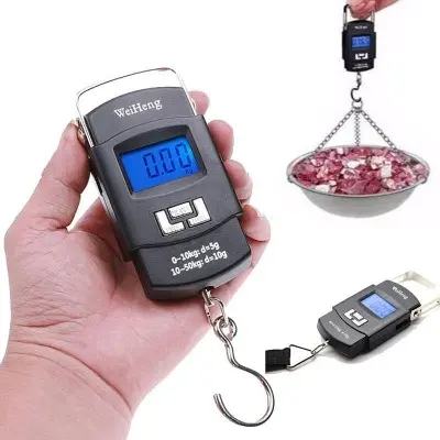 Picture of Portable Digital Weight Scale