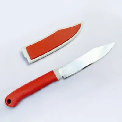 Picture of 23cm Stainless Steel Fruit Knife with Protective Cover