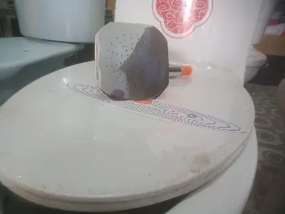 Picture of 5 INCH SQUARE MOVING SHOWER (Silver)