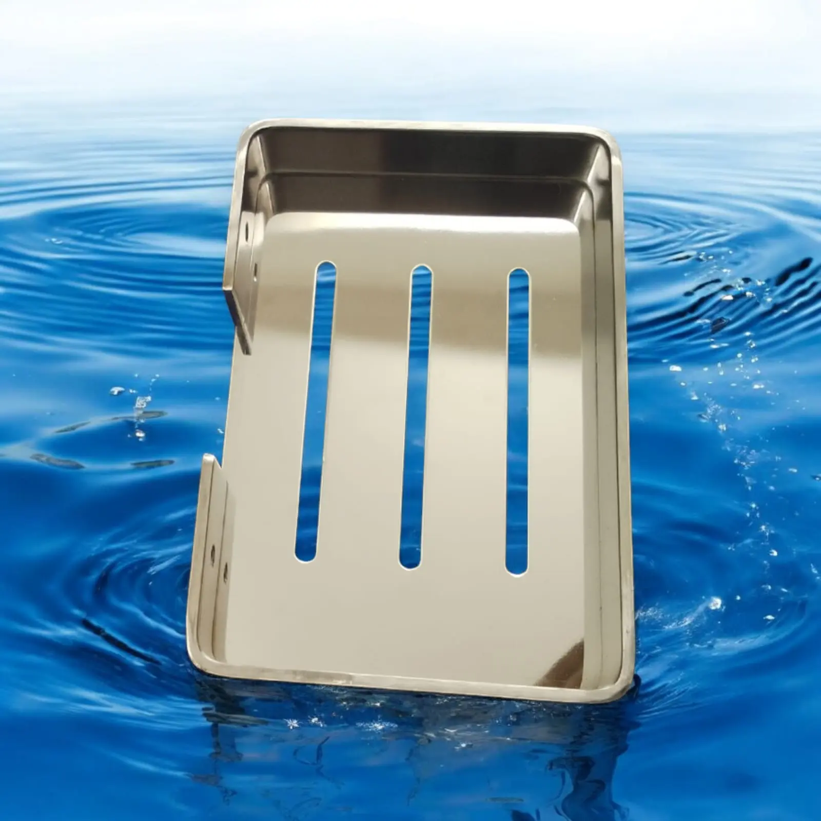 Picture of Heavy Sus 304 Soap case/ Soap Dish (Silver)