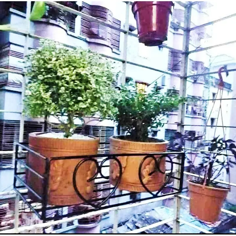 Picture of Metal Grill Rack Hanging Planter Pot 15x8x4 inches -1 Pcs. (Black)