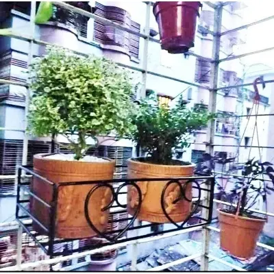 Picture of Metal Grill Rack Hanging Planter Pot 15x8x4 inches -1 Pcs. (Black)