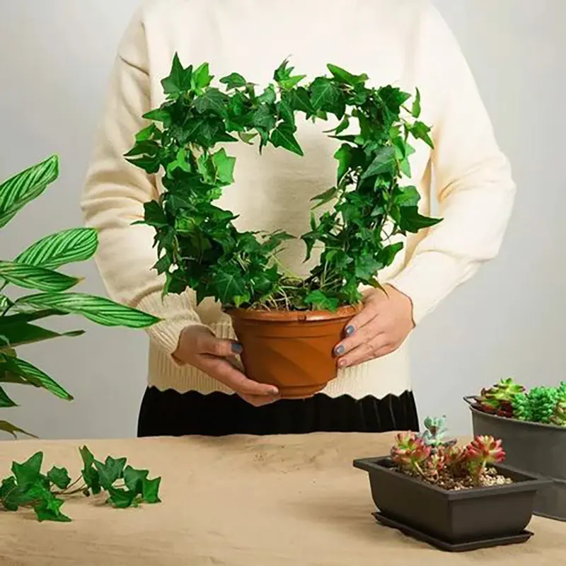 Picture of Black HEART & Circle SHAPE GARDEN Climbing Plant STAKES SET OF 2 (Black)