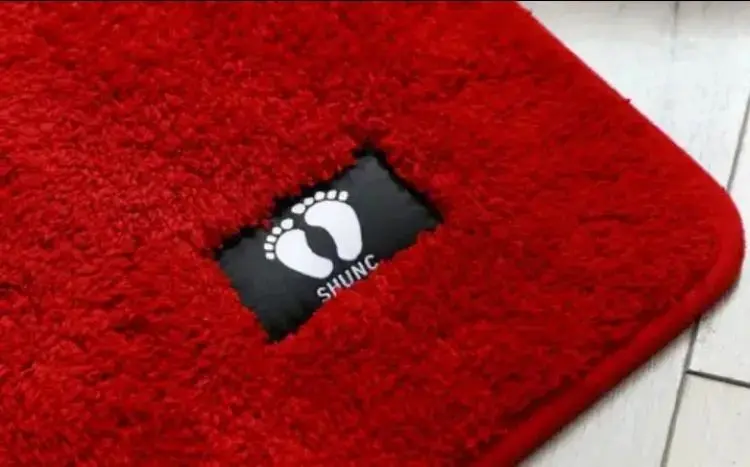 Picture of Soft Fur Carpet Fluffy Rugs door mat (Random Color ) - Multicolor