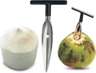 Picture of Coconut Hole Opener/Coconut Opener/Coconut Cutter - Silver