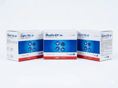 Picture of Moxilin-CV Vet (10x10gm) Amoxicillin & Clavulanic Acid Powder