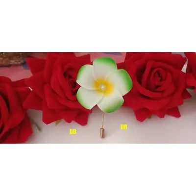 Picture of Hijab pin Niqabi Lovers Hijab pin