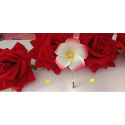 Picture of Hijab pin Niqabi Lovers Hijab pin