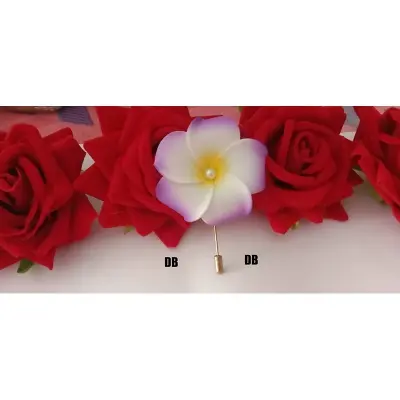 Picture of Hijab pin Niqabi Lovers Hijab pin