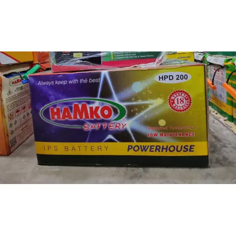 Picture of Hamko HPD-200 Ah Flat Plate IPS Battery