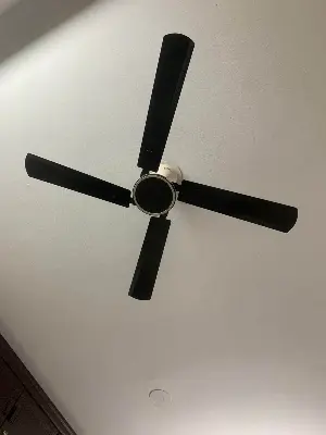 Picture of Conion Signature Ceiling Fan 56 Inch, 4 Blades - Oxide Black - Elevate the Comfort and Style of Your Space Black