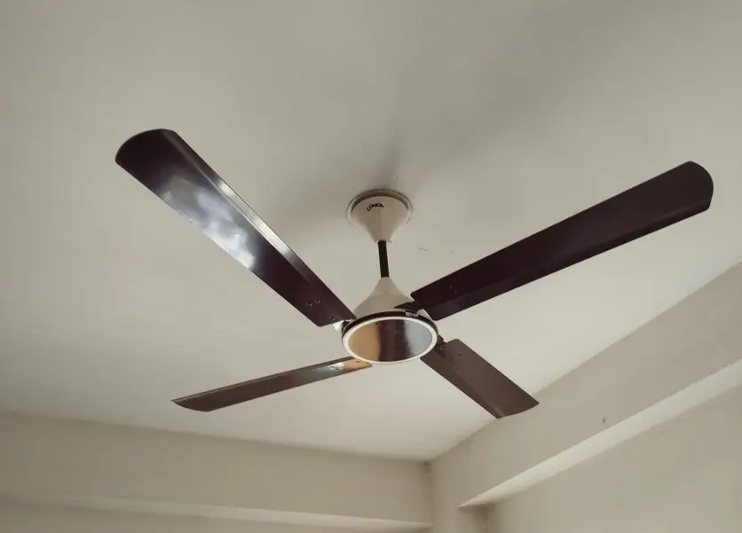 Picture of Conion Signature Ceiling Fan 56 inch, RPM: 305, Watt: 75, Color: Brilliant Maroon, 07 Years Guaranty Maroon