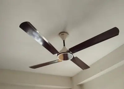 Picture of Conion Signature Ceiling Fan 56 inch, RPM: 305, Watt: 75, Color: Brilliant Maroon, 07 Years Guaranty Maroon