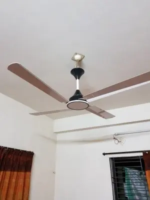 Picture of Conion Signature 56 inch ceiling fan, Off-white color, 04 blade, 07 Years Replacement Guaranty Off White