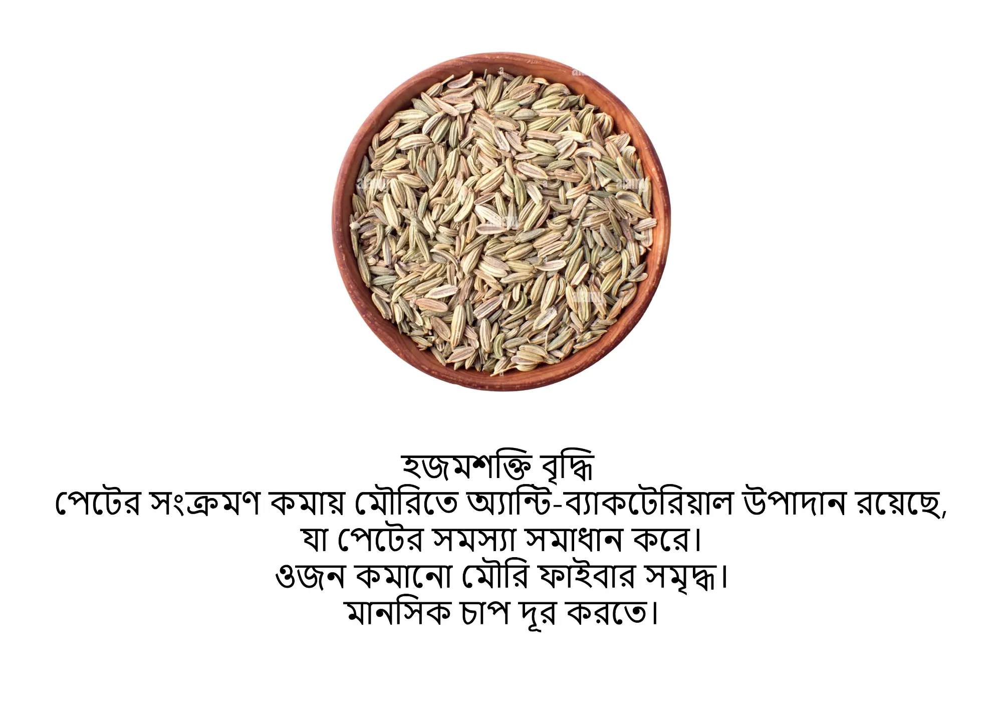 Picture of Fennel Seed(Misti Jeera) 100gm- India Origin
