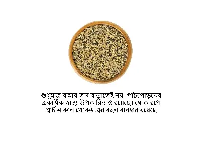 Picture of Panch Phoron Cooking Masala 100gm
