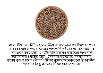 Picture of Premium Special Cumin (jeera) 100gm