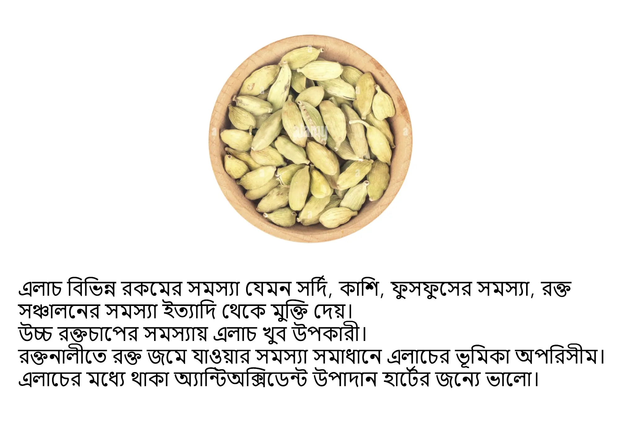 Picture of Cardamom Whole(Elachi) 50gm