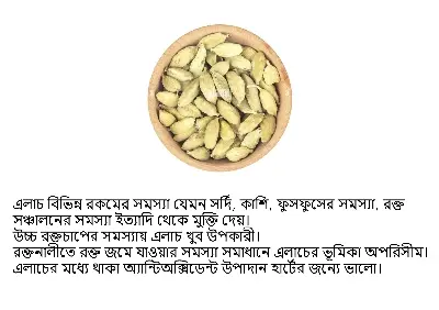 Picture of Cardamom Whole(Elachi) 50gm