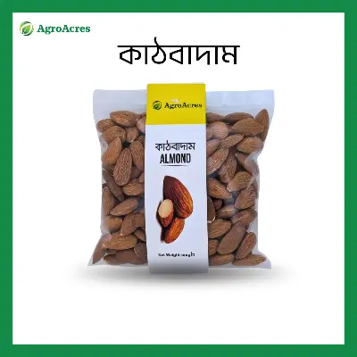 Picture of Almonds Almond (Kath Badam)- 100gm