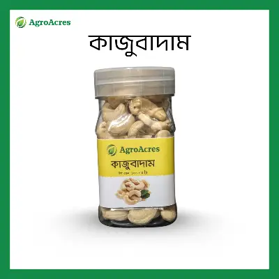 Picture of Cashew Nut {Kaju Badam} - 100Gm