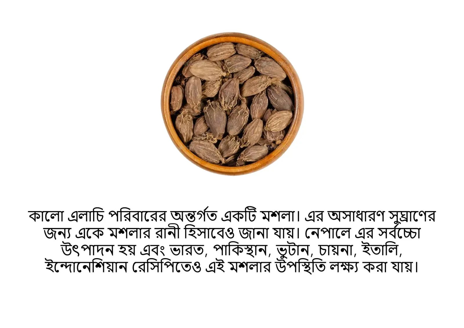 Picture of Black Cardamom 50gm / Black Elachi / kalo Elachi 100 gm