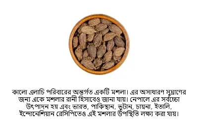 Picture of Black Cardamom 50gm / Black Elachi / kalo Elachi 100 gm