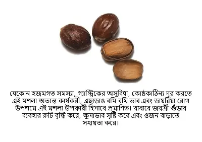Picture of Nutmeg/Joyfol 50gm