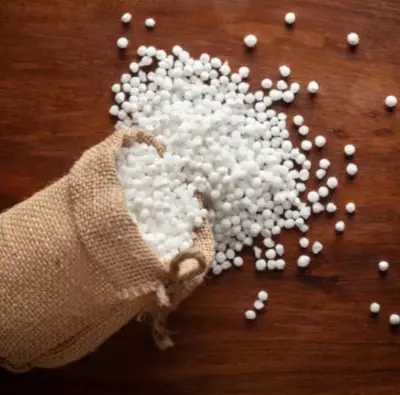 Picture of Sabu Dana (Sago Dana) 100 gm