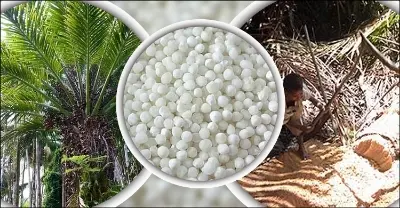 Picture of Sabu Dana Sabudana 250Gm