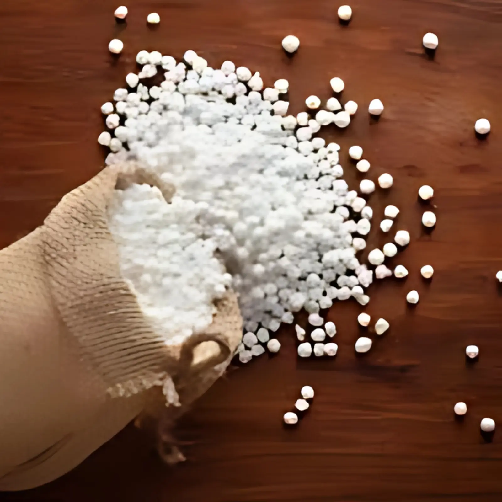 Picture of Sabu Dana Sabudana 250Gm