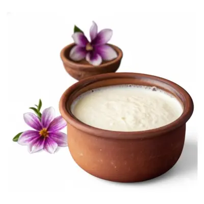 Picture of Sweet sour curd 750gm