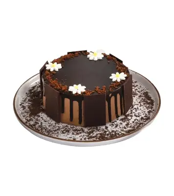 Picture of Bento Cake Ultimate Chocolate 200gm
