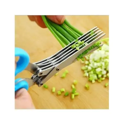 Picture of Multi Bleed Vegetable Cutting Scissors(Silver)