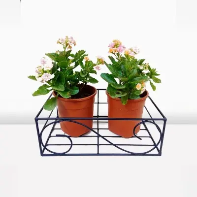 Picture of 1PC 12 Inch Square Metal Hanging Railing Planters Flower Pot Holder(Multicolor)