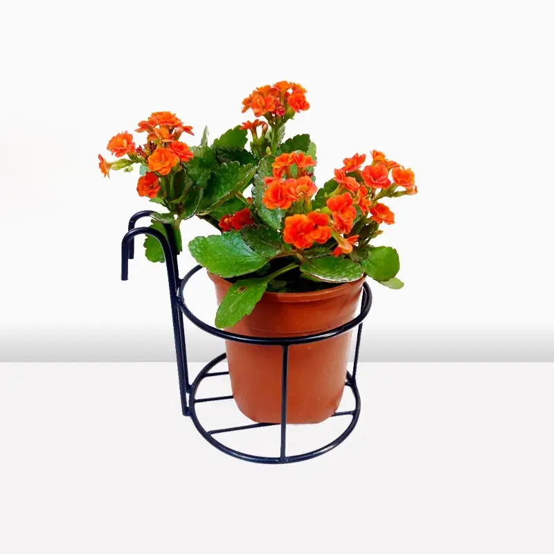 Picture of 1 PC 6 Inch Round Metal Hanging Railing Planters Flower Pot Holder(Multicolor)