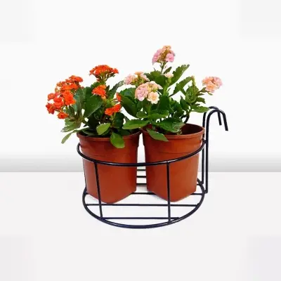 Picture of 1PC 10Inch Round Metal Hanging Railing Planters Flower Pot Holder(Multicolor)