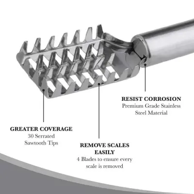 Picture of Stainless Steel Fish Scale Cleaner - Silver(Silver)