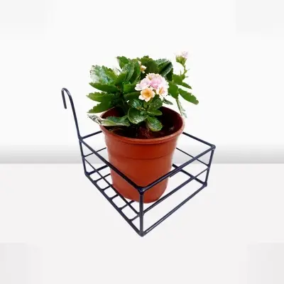 Picture of 1PC 8 Inch Square Metal Hanging Railing Planters Flower Pot Holder(Multicolor)