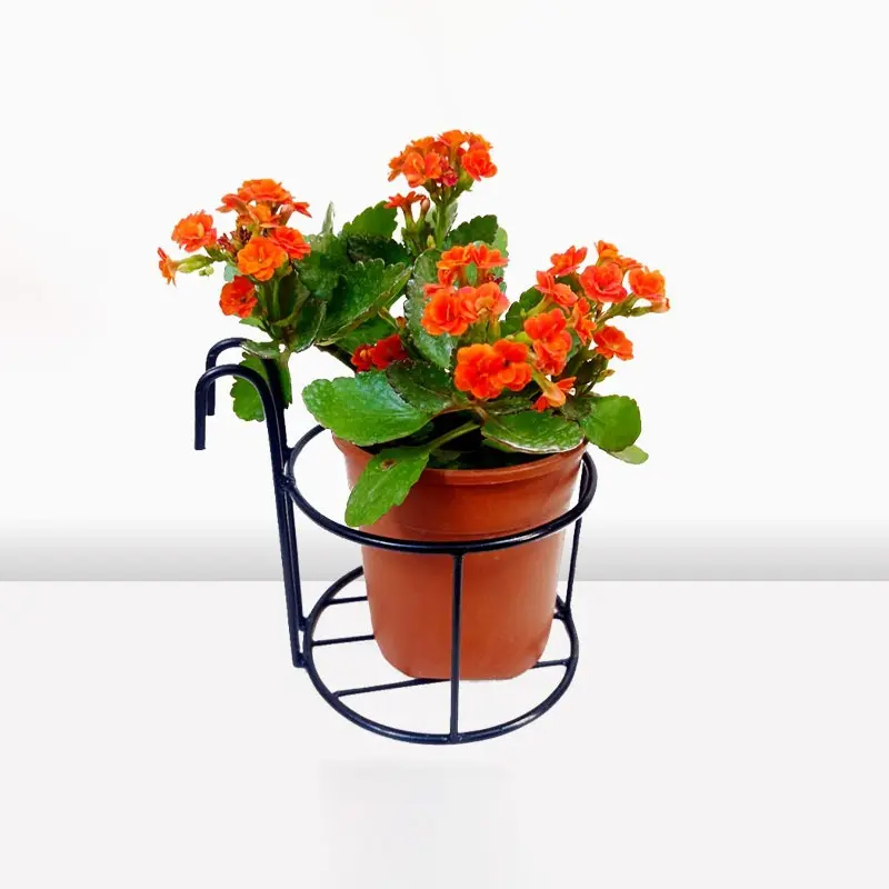 Picture of 1PC 8Inch Round Metal Hanging Railing Planters Flower Pot Holder(Multicolor)