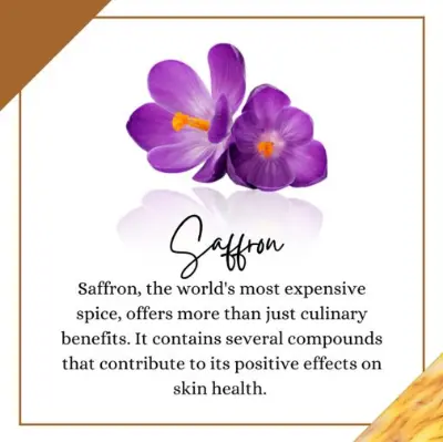 Picture of Ikebana Saffron (Goatmilk Handmade Soap (90 gm)