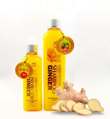 Picture of Protector Ginger Shampoo -260ml