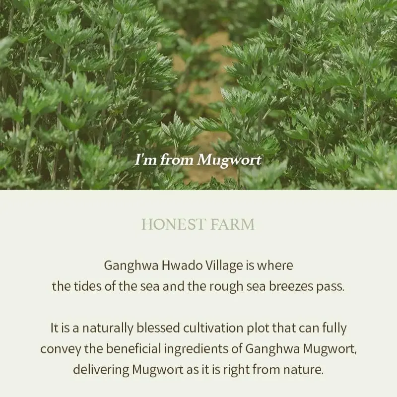 Picture of I'm From Mugwort Gel Cleanser 150ml