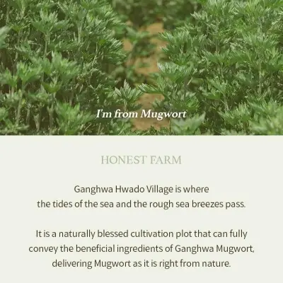 Picture of I'm From Mugwort Gel Cleanser 150ml