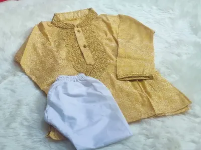 Picture of fasionable indian karchupi design boys panjabi