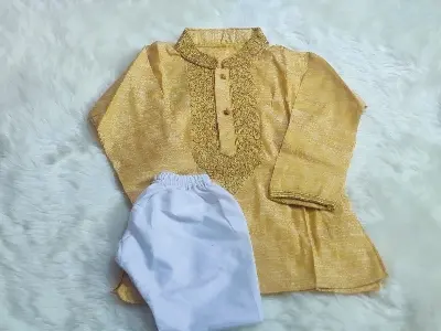 Picture of fasionable indian karchupi design boys panjabi