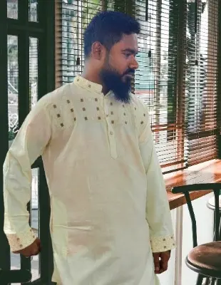 Picture of offwhite colour semilong  ambrodary work panjabi