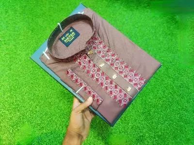 Picture of Unique Design Mens upcoming Eid Special cotton febric semilong premium simple ambrodary work panjabi