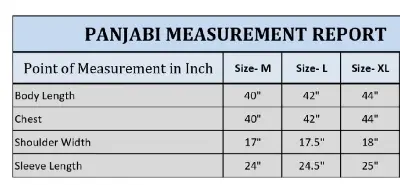 Picture of Mens pure suti premium ambrodary work panjabi semilong panjabi