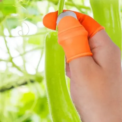 Picture of Silicone Thumb 5PCS Finger Protector Gears Cutting Vegetable Orange